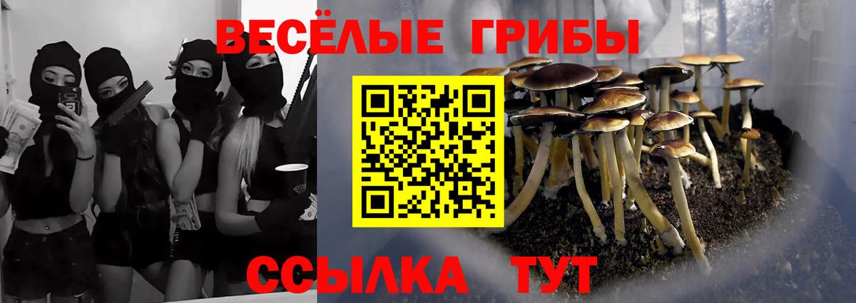цены наркотик  Псилоцибиновые грибы мицелий  Вход с VPN  Красноармейск 
